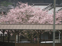 DSC01664