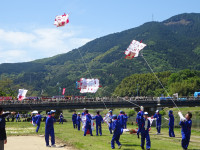 DSC01841