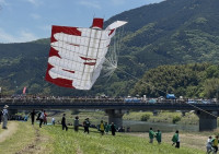 百畳凧