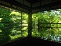DSCF3747
