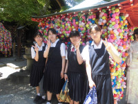 CIMG5020