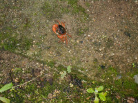 DSCN1442