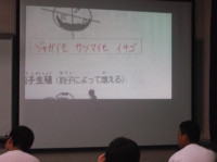 DSCF8811