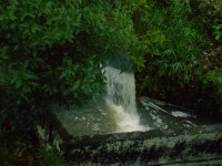 用水路２