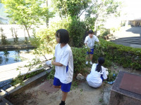 DSC02511