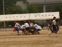 P1070541